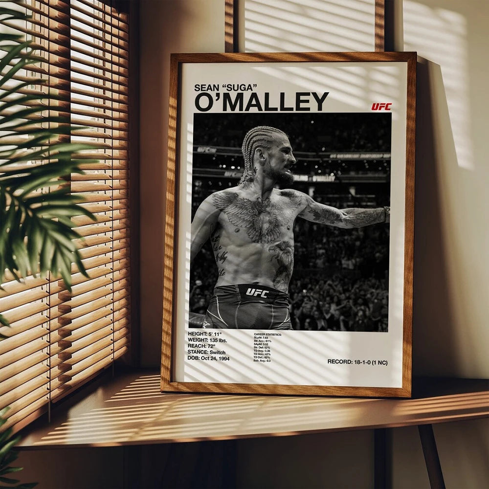 UFC fighters poster