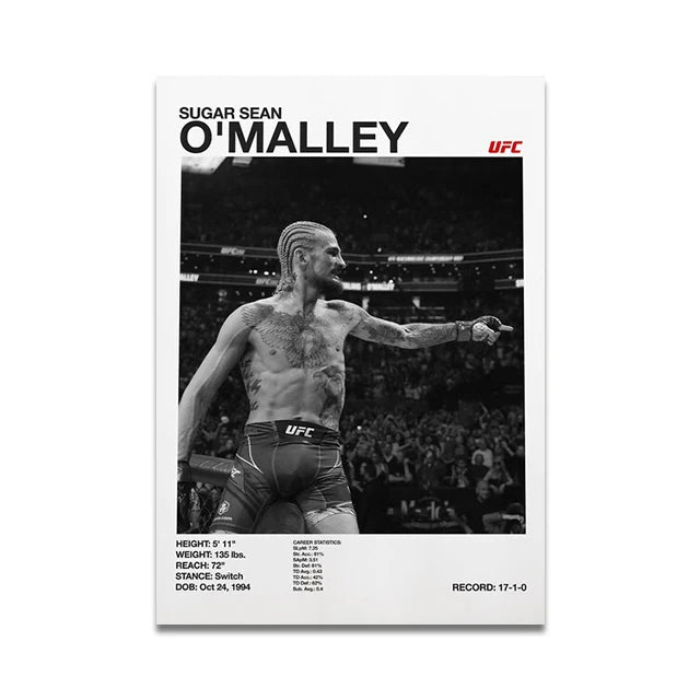 UFC fighters poster