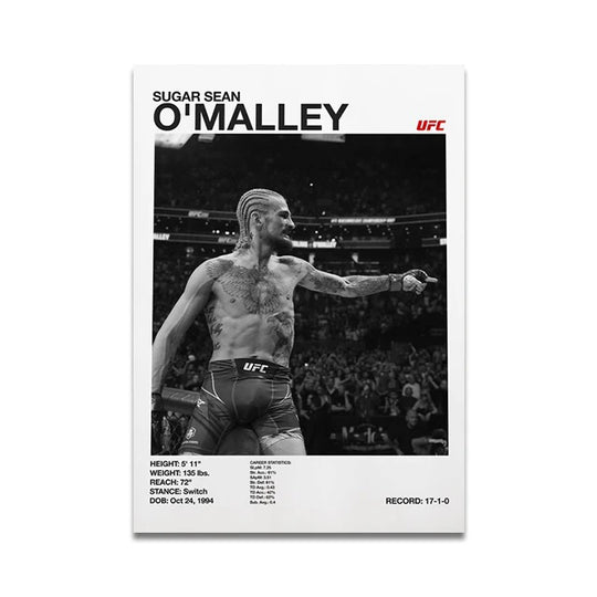 UFC fighters poster