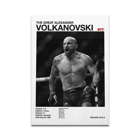 UFC fighters poster