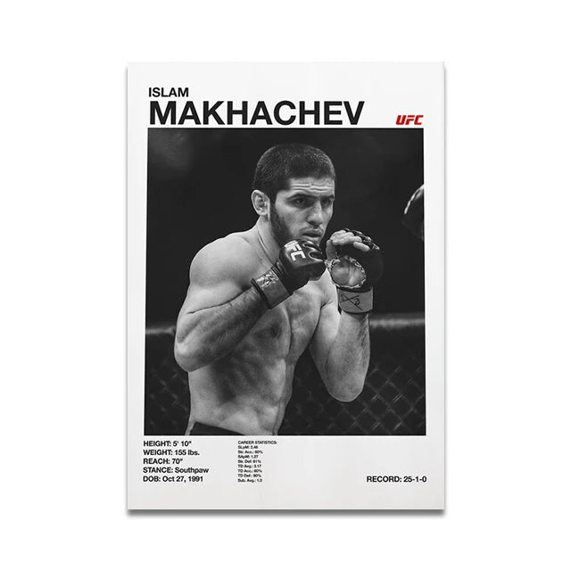 UFC fighters poster