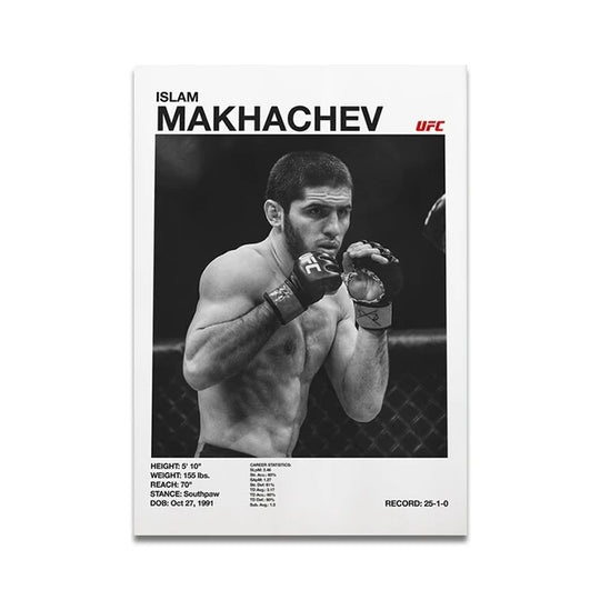 UFC fighters poster