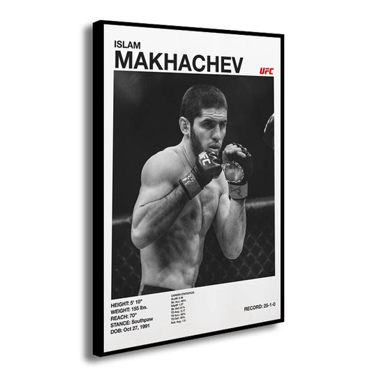 UFC fighters poster