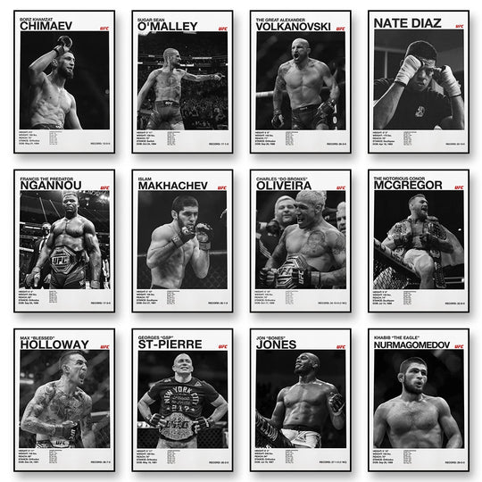 UFC fighters poster